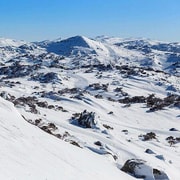 Sydney: Day Tour to Perisher Snowfields