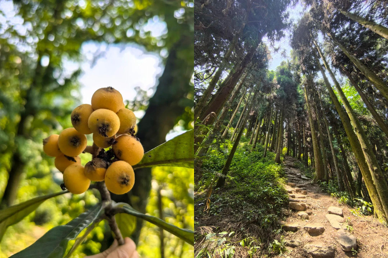 Chengdu Hiking in Yunhua Mountain Landscape & Secret Temple