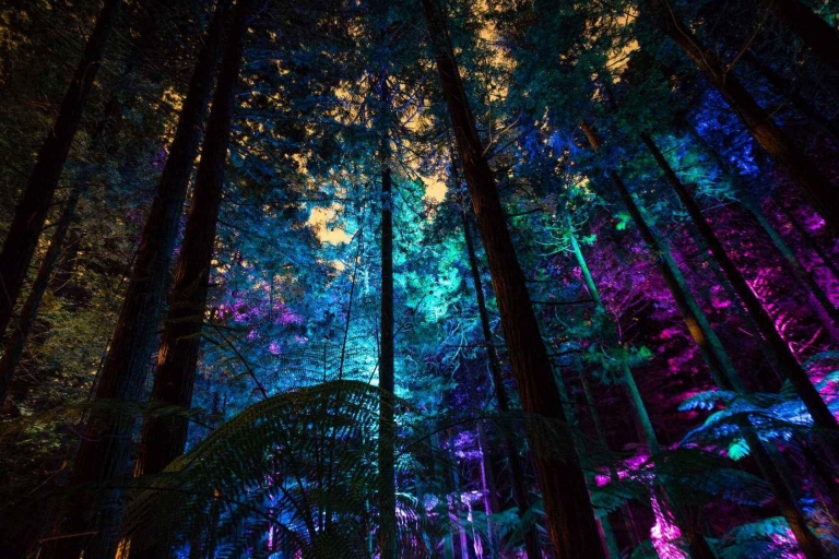 Rotorua: Combo Altitud Redwoods y Senderismo Diurno/Nocturno