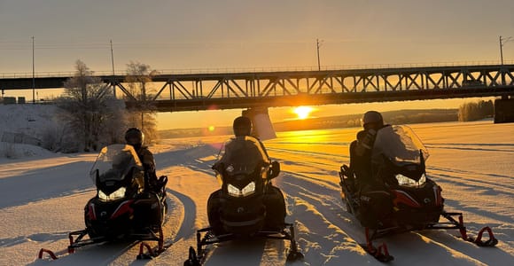 Rovaniemi: Arctic Snowmobiling Ride with Local Guide