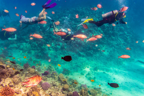 Sahl Hasheesh Elite Beach Dive & Coral Reef Experience