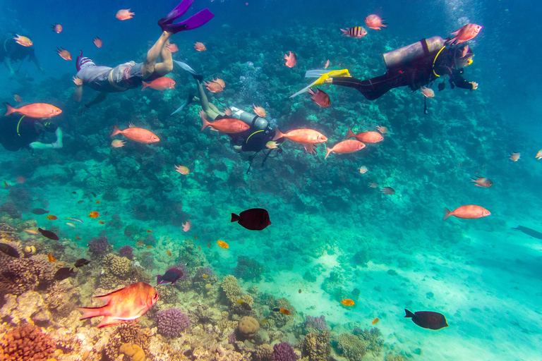 Sahl Hasheesh Elite Beach Dive & Coral Reef Experience