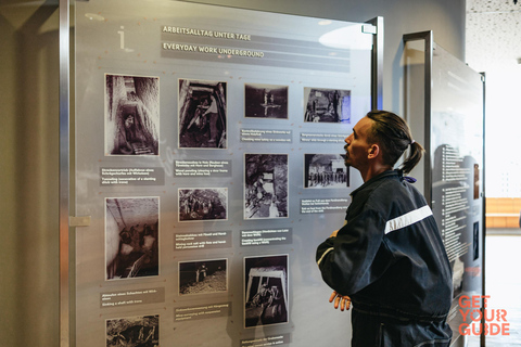 From Salzburg: Hallstatt and Berchtesgaden Salt Mine Tour