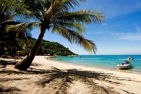 Da Nang/Hoi An: Cham Islands Snorkeling or Scuba Diving Diving in Cham Islands with an instructor