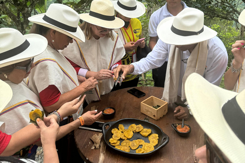 Coffee and Exotic Fruit Tour from Medellín with Lunch Coffee and Exotic Fruit Tour from Medellín with Lunch.