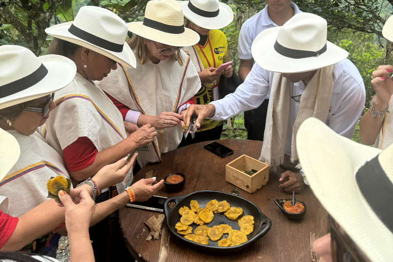 Coffee and Exotic Fruit Tour from Medellín with Lunch Coffee and Exotic Fruit Tour from Medellín with Lunch.
