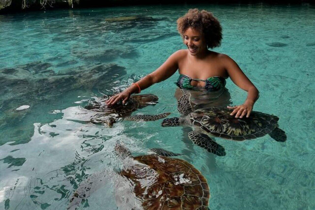 Sansibar: Schwimmen mit Meeresschildkröten im Baraka-Aquarium