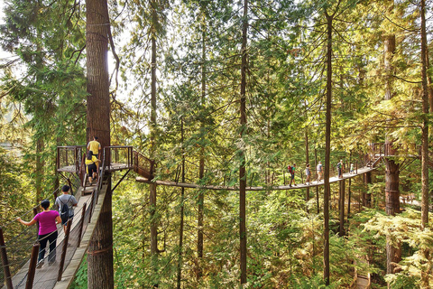 Depuis Vancouver : Pont suspendu de Capilano et Grouse MountainNorth Shore : départ à 11:00