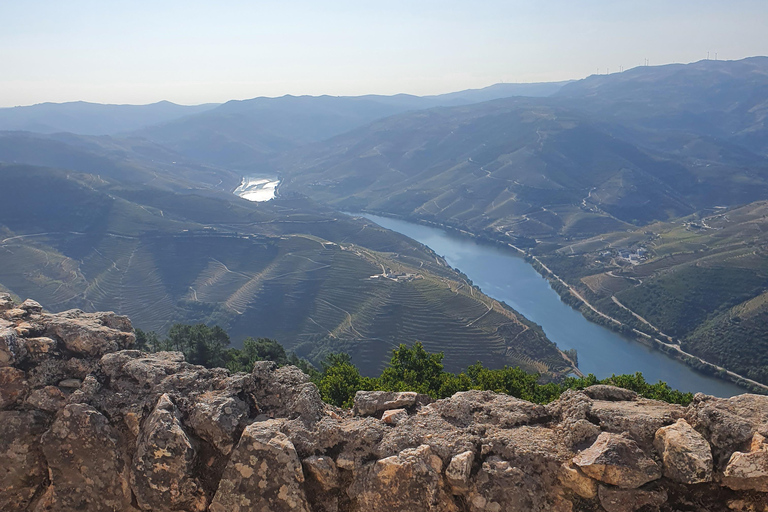 Porto: Transfer privado para Lisboa