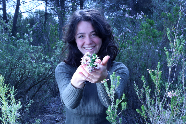 Wild walk: discover the local wild flora