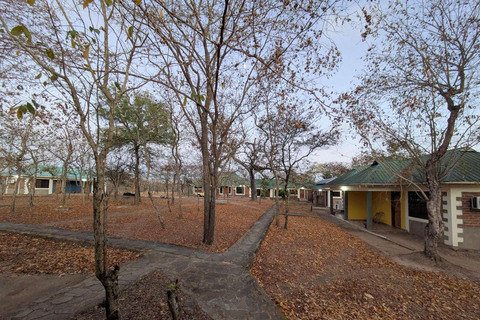 SAFARI ANIMALIER DE ZANZIBAR À MIKUMI 3 JOURS ET 2 NUITS