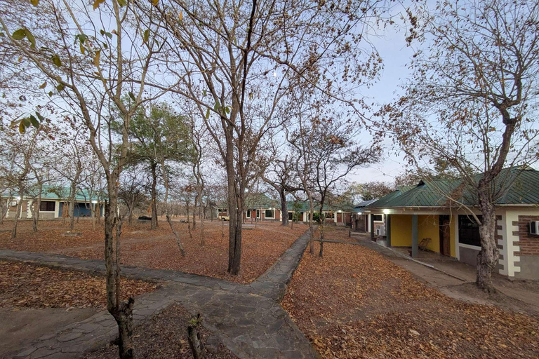 SAFARI ANIMALIER DE ZANZIBAR À MIKUMI 3 JOURS ET 2 NUITS