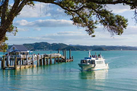 Bay of Islands: Half-Day Scenic Tour with Ferry Crossing