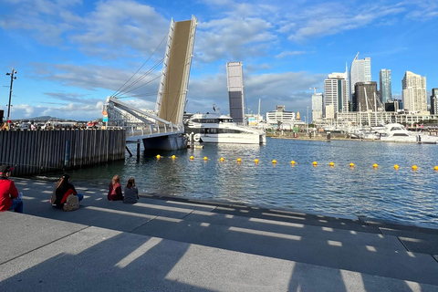 Auckland City To Auckland Airport Premium Transfer