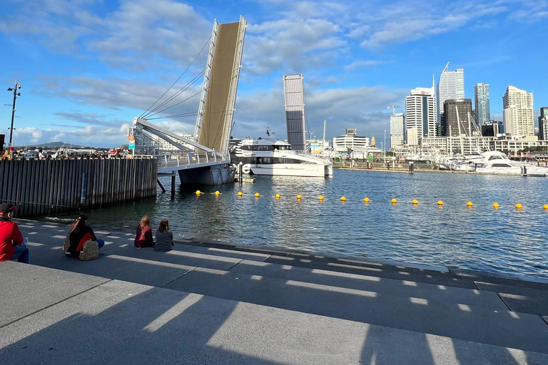 Auckland City To Auckland Airport Premium Transfer