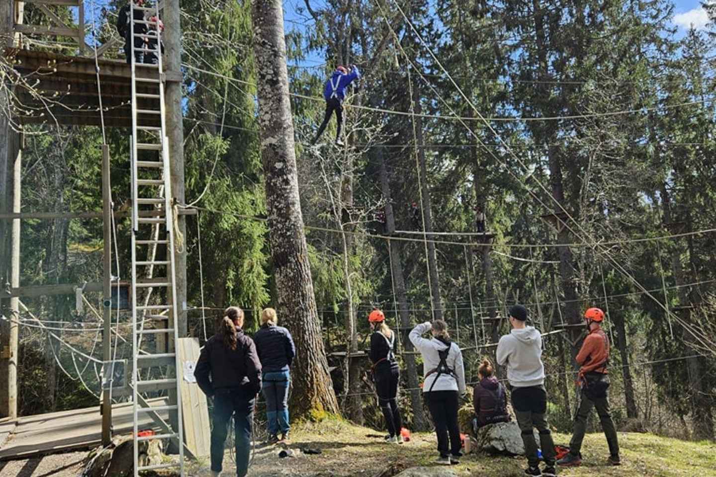 Dals Långed: High Ropes Adventure for Adults and Kids