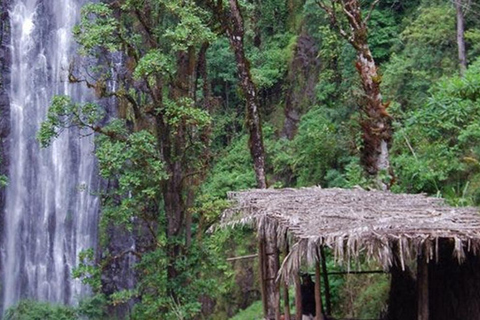 Arusha: Excursión de un día a las cataratas del Monte Meru con almuerzo