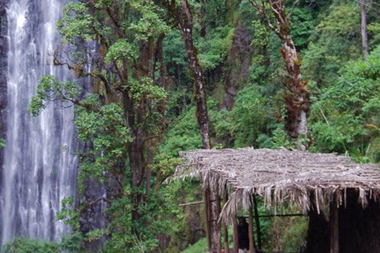 Arusha : Excursion d&#039;une journée aux chutes d&#039;eau du Mont Meru avec déjeuner