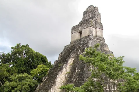 Flores: Tour di 1 giorno a Tikal con servizio privato dal tuo hotel