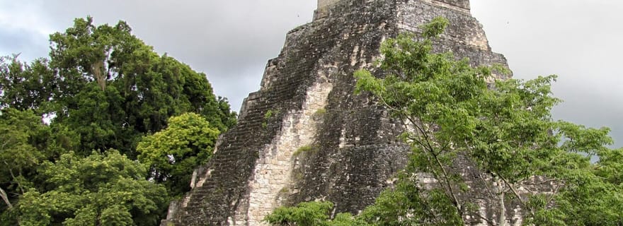 Flores : 1-Day Tikal Tour Service privé depuis votre hôtel