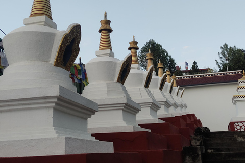 Vive como un monje: Alójate en el Monasterio Nomobuddha