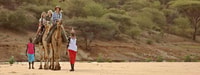 3 Day Adventure at Samburu National Reserve, Kenya - Housity