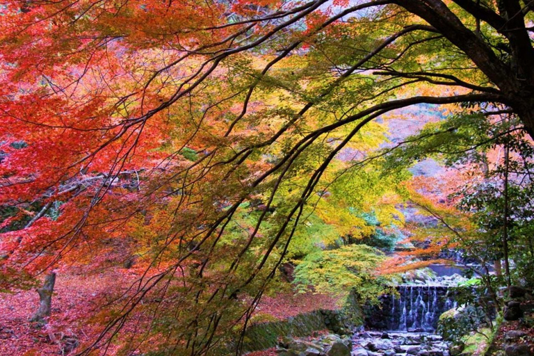 From Nagoya: Kegonji Temple, Yoro Park & Kiyosu Castle Tour