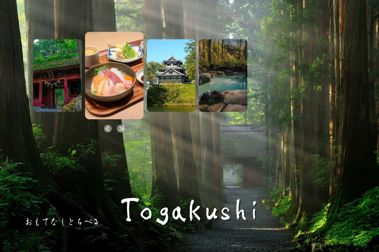 Private Tour to Togakushi Shrine, Castle, Sushi & Onsen From Nagano: Togakushi Shrine & Sushi Lunch