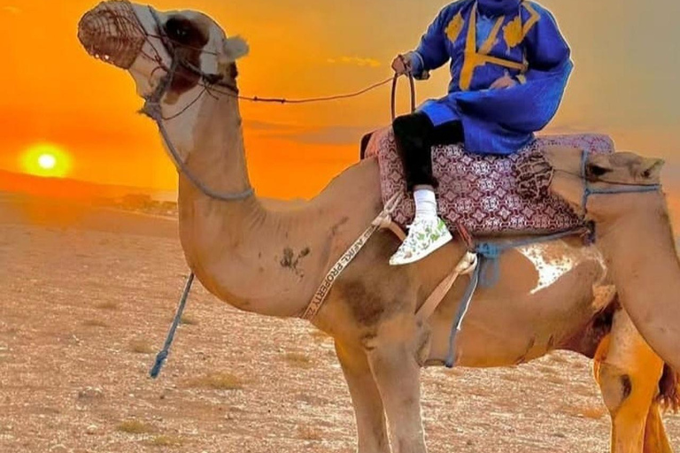 Una notte indimenticabile nel deserto: cena, giro in cammello e in quadNotte indimenticabile nel deserto: cena, giro in cammello e quad