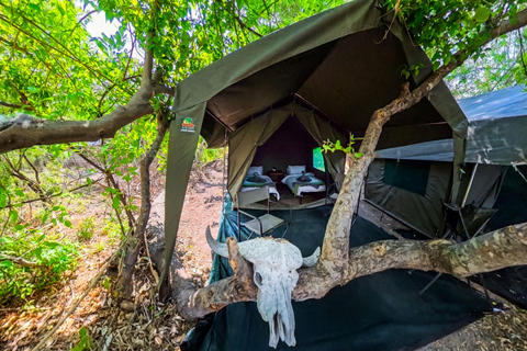 Mokoro Safari Experience in the Okavango Delta