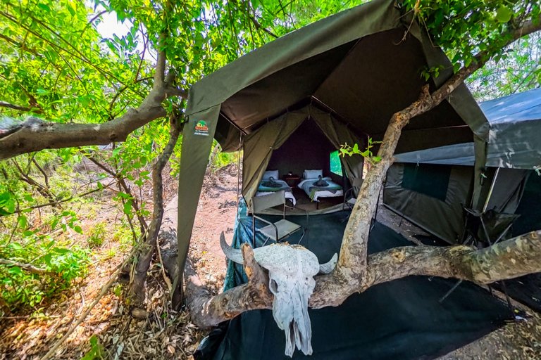 Mokoro Safari Experience in the Okavango Delta