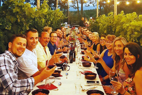 Wine Tasting and Dinner in the Vineyards of Chianti Tour in Italian