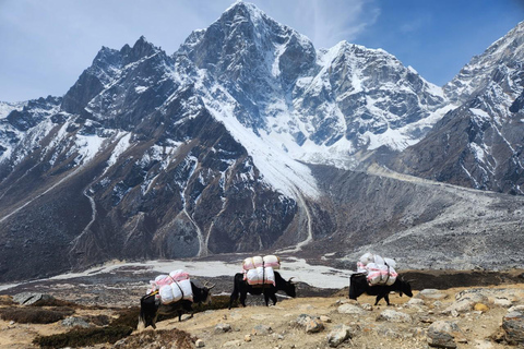 Everest-Hochpässe-Odyssee: Eine 15-tägige Trekking-Expedition