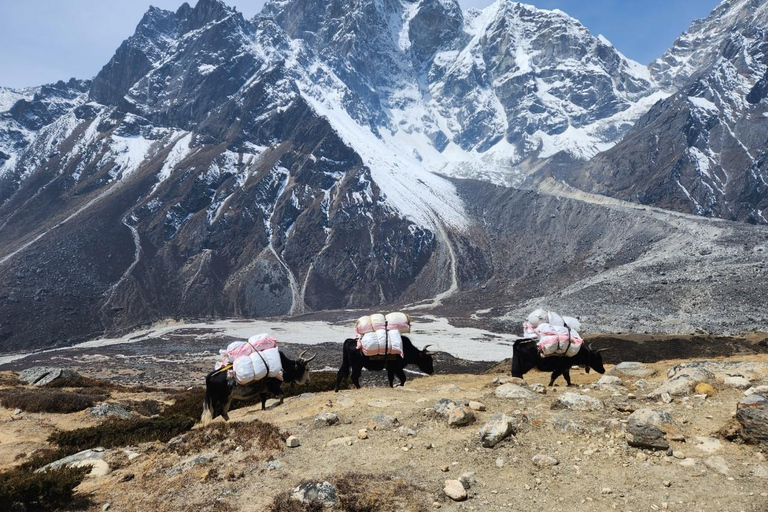 Everest-Hochpässe-Odyssee: Eine 15-tägige Trekking-Expedition