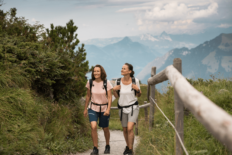 Från Zürich: Heldagsutflykt till Mount StanserhornFrån Zürich: Stanserhorns upptäcktsresa med heldagstur