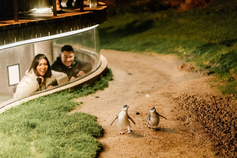 Von Melbourne aus: Phillip Island Penguin Parade Express Tour