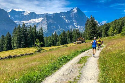 Privéreis van Zürich naar Grindelwald &amp; Interlaken