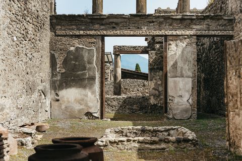 Vanuit Rome: Dagtrip Pompeii en de Vesuviusberg met lunchPompeii & Vesuvius met kegelwandeling