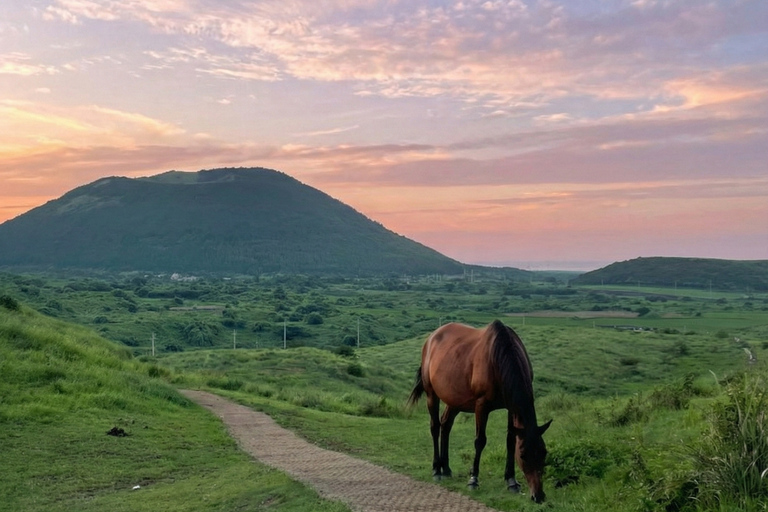 Jeju: Day Tour, Small Volcano & Landmark & UNESCO Heritage Private Day Tour 5hr (Just Car Charter/Not including ticket)