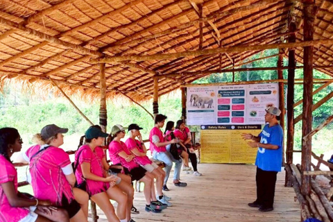 Chiang Mai: Elephant Observation & Wang River Bamboo Rafting