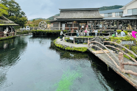 Tokyo: Mount Fuji and Hakone Private Flexible TourTour in a Leisure Vellfire