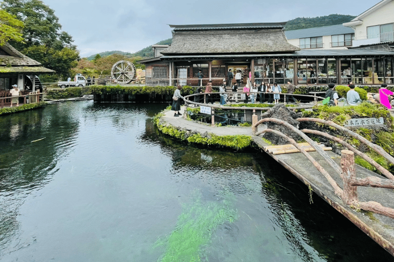 Tokyo: Monte Fuji e Hakone Tour privato flessibile e a basso prezzoTour privato del Monte Fuji e di Hakone in una corona rilassante