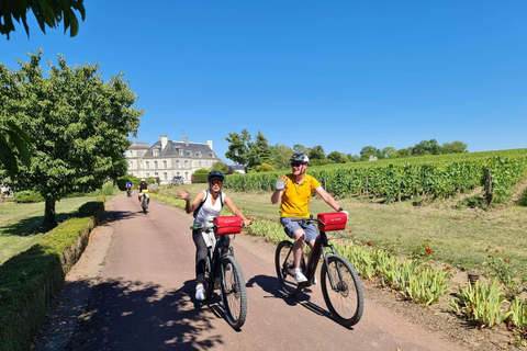 Angers: Fietstocht met wijnproeverijen!