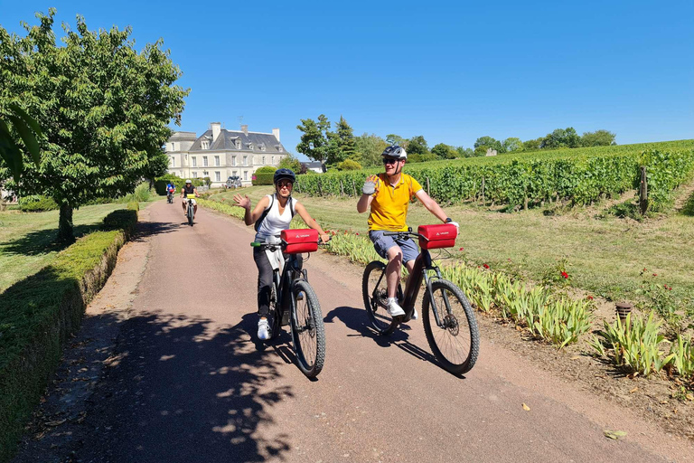 Angers: Passeio de bicicleta com degustação de vinhos!