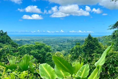 Puntarenas: Rainmaker Park Guided Tour with Lunch