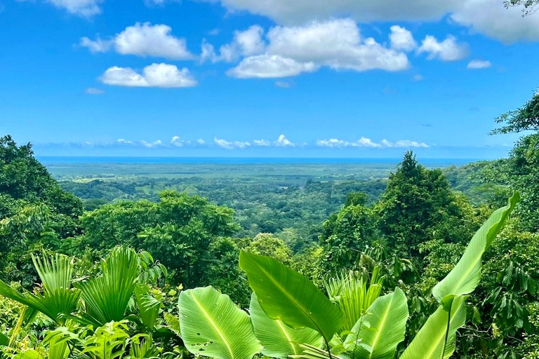 Puntarenas: Rainmaker Park Guided Tour with Lunch