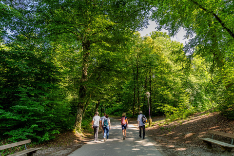Salzbourg : « Salzbourg vue d&#039;en haut » - Randonnée sur les montagnes de SalzbourgSalzbourg : « Salzbourg vue d&#039;en haut » - Randonnée sur les montagnes de la ville de S