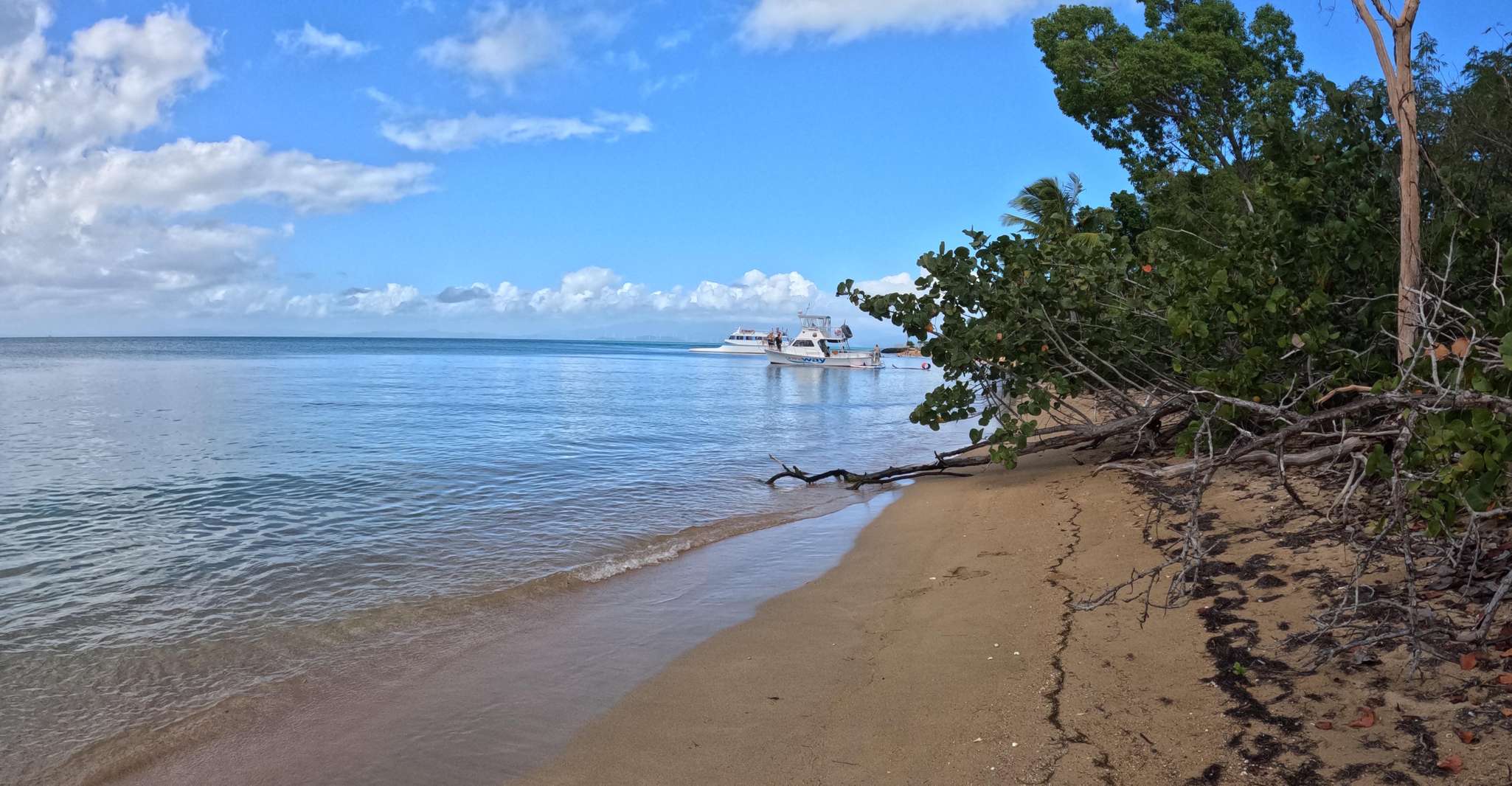 Vieques Power Boat Beach, Sea Turtle, Water Toys And Snorkel - Housity