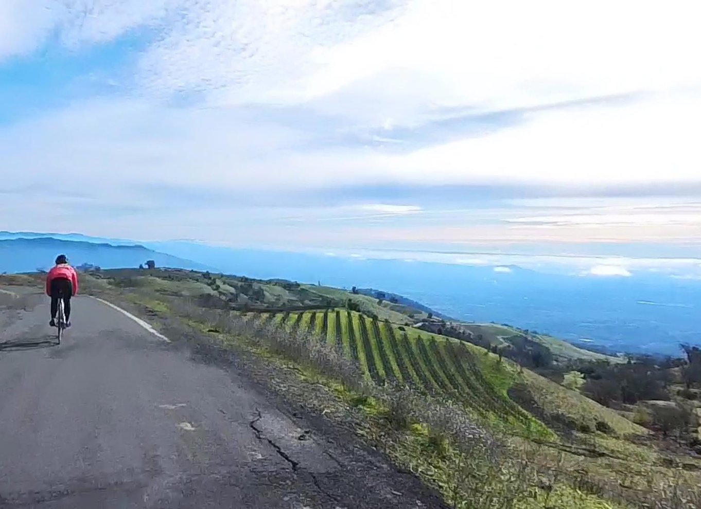 Napa/Sonoma: Guidet tur for cykelentusiaster