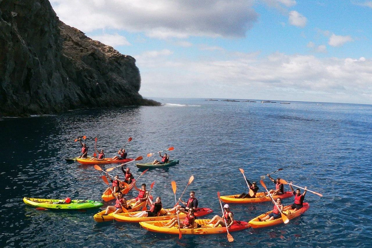 Tenerife: Kayak & Snorkeling, Turtles & Dolphins Watching Tenerife Kayak Ecotour 3 hours: Snorkeling & Turtle Watching